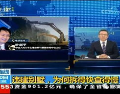 鹿泉最新爆料新闻头条,揭秘重大事件背后真相